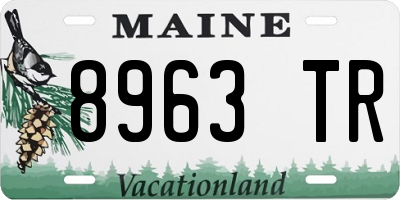 ME license plate 8963TR