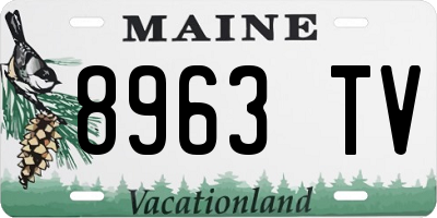 ME license plate 8963TV