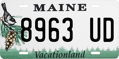 ME license plate 8963UD