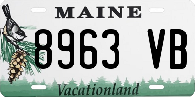 ME license plate 8963VB