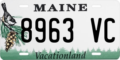ME license plate 8963VC