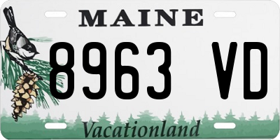 ME license plate 8963VD