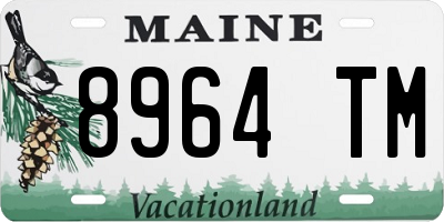 ME license plate 8964TM