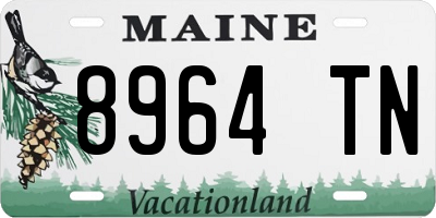 ME license plate 8964TN