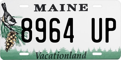 ME license plate 8964UP