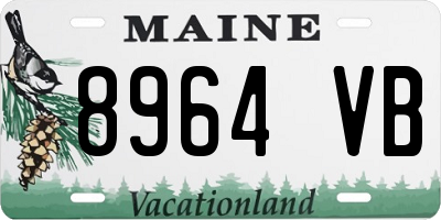 ME license plate 8964VB
