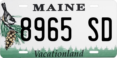 ME license plate 8965SD