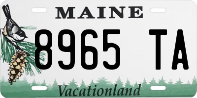ME license plate 8965TA