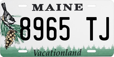 ME license plate 8965TJ