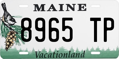 ME license plate 8965TP