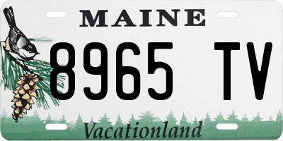 ME license plate 8965TV