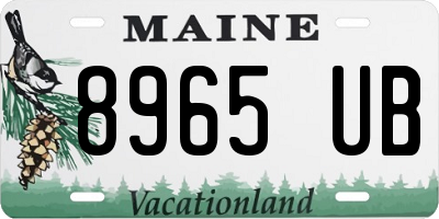 ME license plate 8965UB