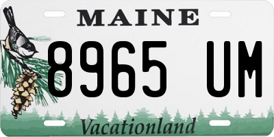 ME license plate 8965UM