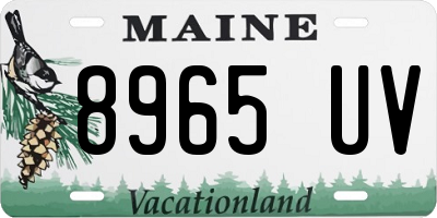 ME license plate 8965UV