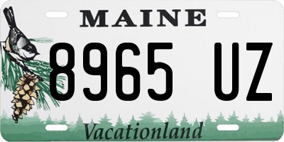 ME license plate 8965UZ