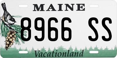 ME license plate 8966SS