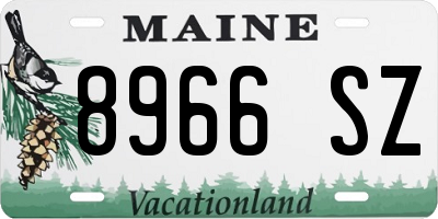 ME license plate 8966SZ