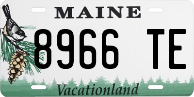ME license plate 8966TE