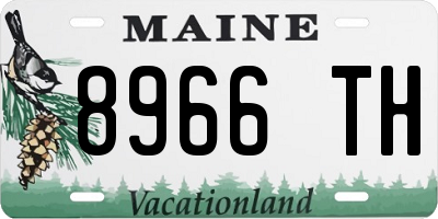 ME license plate 8966TH