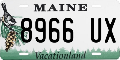 ME license plate 8966UX