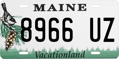 ME license plate 8966UZ