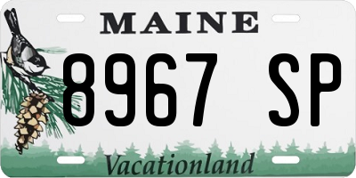 ME license plate 8967SP