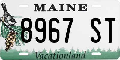 ME license plate 8967ST