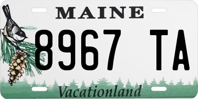 ME license plate 8967TA