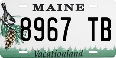 ME license plate 8967TB
