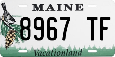 ME license plate 8967TF