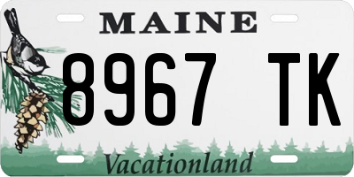 ME license plate 8967TK