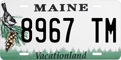 ME license plate 8967TM