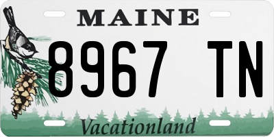 ME license plate 8967TN