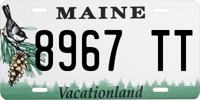 ME license plate 8967TT