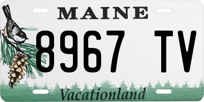 ME license plate 8967TV