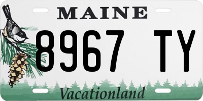 ME license plate 8967TY