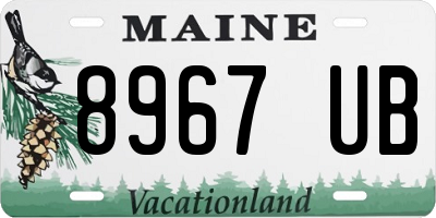 ME license plate 8967UB