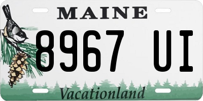 ME license plate 8967UI