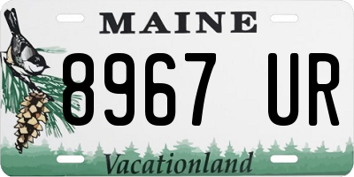 ME license plate 8967UR