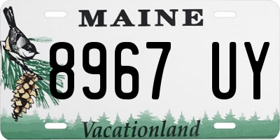 ME license plate 8967UY