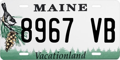ME license plate 8967VB