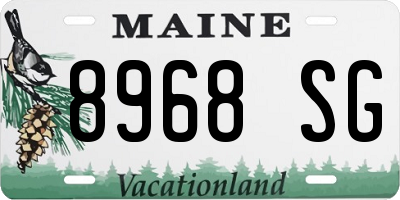 ME license plate 8968SG