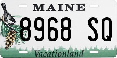 ME license plate 8968SQ