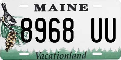 ME license plate 8968UU