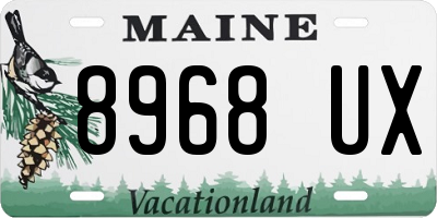 ME license plate 8968UX