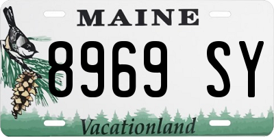 ME license plate 8969SY