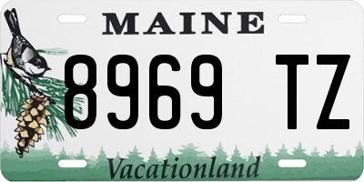 ME license plate 8969TZ