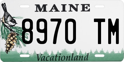 ME license plate 8970TM