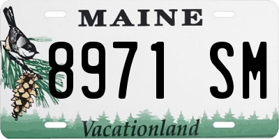 ME license plate 8971SM