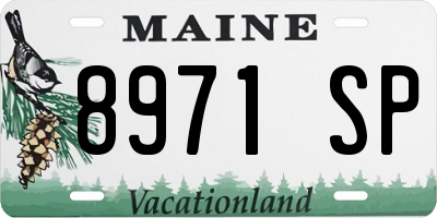 ME license plate 8971SP